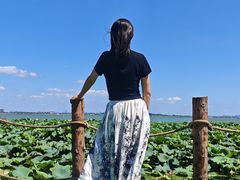 -七的湖·晚芳亭·阳澄湖农家菜·大闸蟹(莲花岛店)