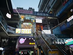 -猫咪博物馆(顶澳仔猫街店)