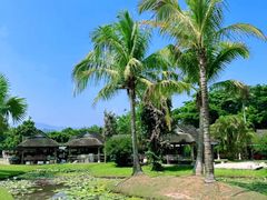 -中国科学院西双版纳热带植物园