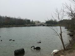-上海怡沁园度假酒店