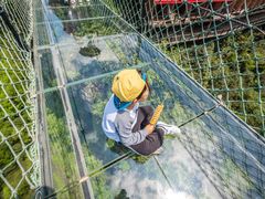 -梦幻奥陶纪景区
