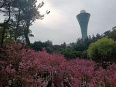 -狐尾山公园