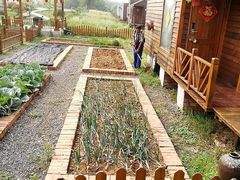 -龙湖东院农庄(乡间小路店)