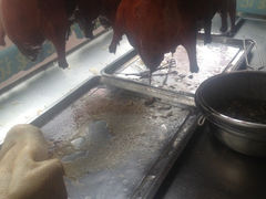 iphone_upload_pic-龙记烤鸭店(新民路店)