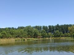 -东郊湿地公园