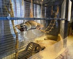 -酷嗒动物文化乐园(cutezoo西溪乐天城店)