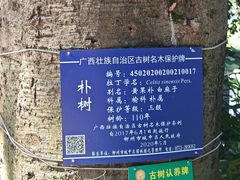 -柳侯公园