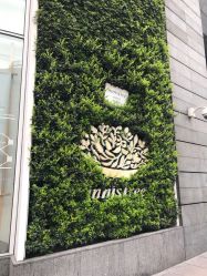 -悦诗风吟innisfree