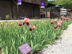 -富田农场