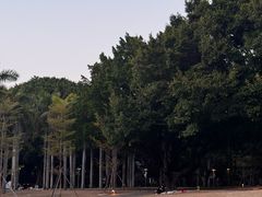 -华侨公园