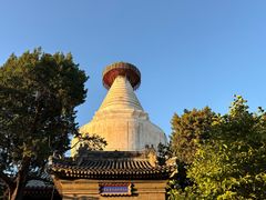 -妙应寺白塔