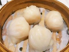 -楚灶王(徐东店)