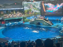 -海合安成都极地海洋公园