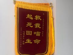 -嘉馨宠物医院·CT影像转诊·心脏科·犬猫全科诊疗中心(下沙大学城院区)
