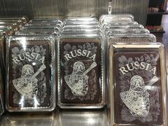 -谢列梅捷沃国际机场