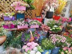 -双季花艺园艺市场(浦东店)