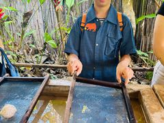 -大象粑粑造纸公园