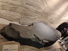 -白鹤梁水下博物馆