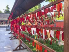 -百脉泉景区