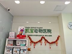 -悦宠凯宝动物医院·牙科·皮肤科(朝阳北路店)