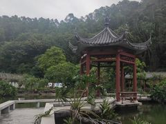-广州神农草堂中医药博物馆
