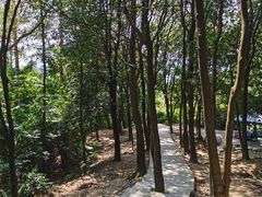 -火炉山森林公园