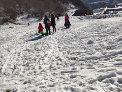 -太子岭滑雪场