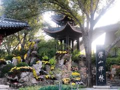 -碑林公园