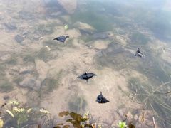 -南京市无想山景区