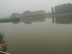 -淇河国家湿地公园