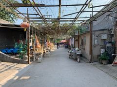 -亲兄弟真人CS团建拓展基地