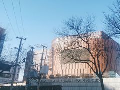 -中国宋庆龄青少年科技文化交流中心