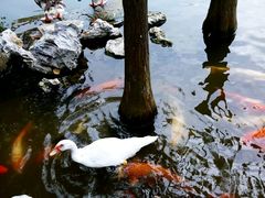 android_upload_pic-东莞市可园博物馆