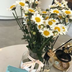 -倩极·精研痘敏肌管理