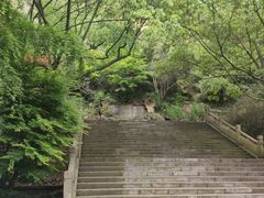 -五泄景区