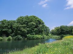 -济州森林小火车生态公园