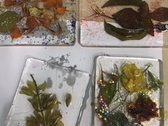 -竞思注意力·专注力·学习能力训练(天一广场中心)