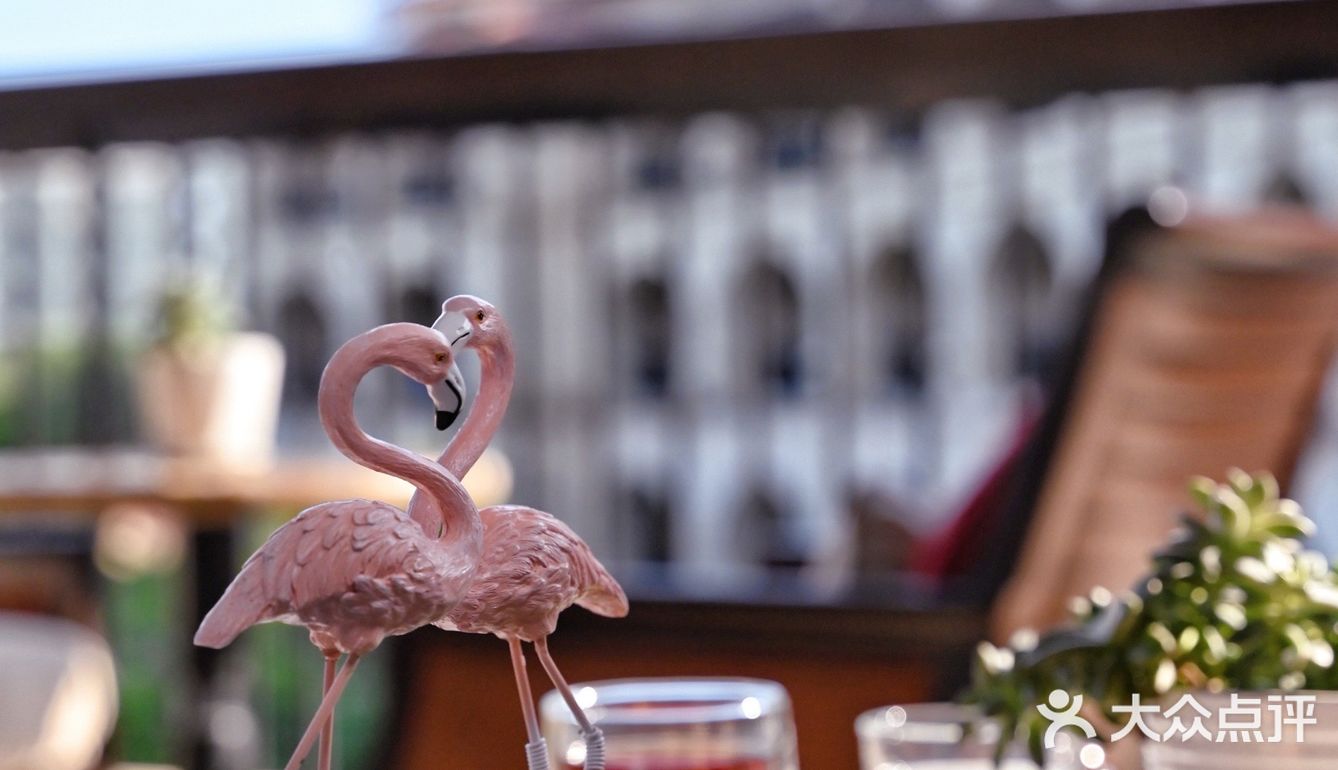 粉恋火烈鸟主题下午茶｜少女心爆棚