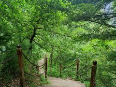 -陕西省红河谷森林公园