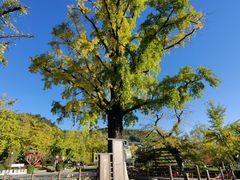-长兴八都岕景区
