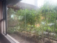 -黄山老妈·土菜(碧桂园店)