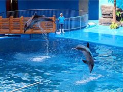 -石林冰雪海洋世界