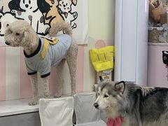 -汪说·狗咖(旺城大厦店)