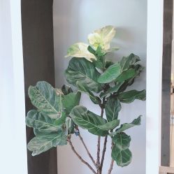 -Garden花園造型