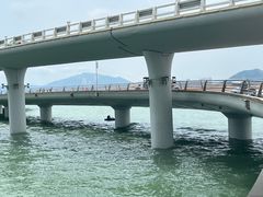 -演武大桥观景平台