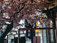 -绿茶餐厅(松江万达店)
