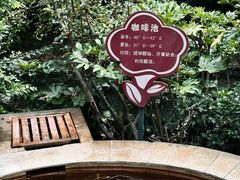 -大理地热国