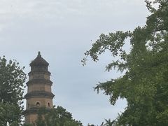 -魏家凉皮(西安秋林宏业商厦店)