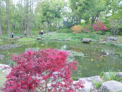 -上海滨江森林公园