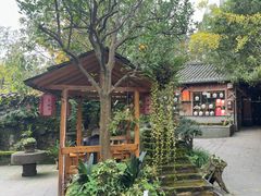 -青城甲(青城山店)